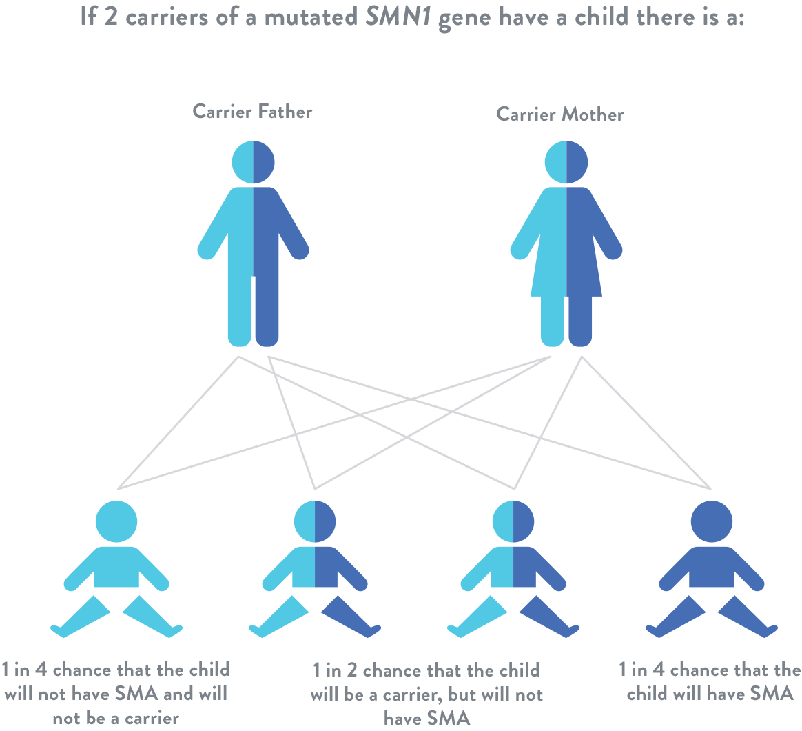 Spinal Muscular Atrophy SMN1 Gene